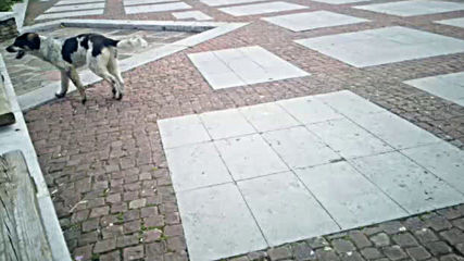 Vid_20190525_130708