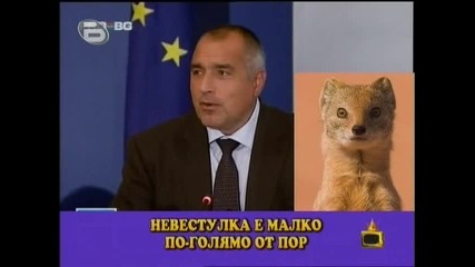 Разработка с кодовото име Невестулката
