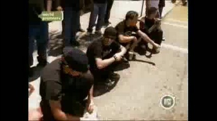 Blink 182 - The Rock Show