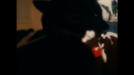 Death Race 2000 - сцена Силвестър Сталоун (смъртоносна Надпревара 2000) 
