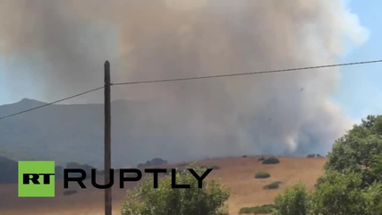 Spain: Firefighters battle huge forest fire near Cadiz