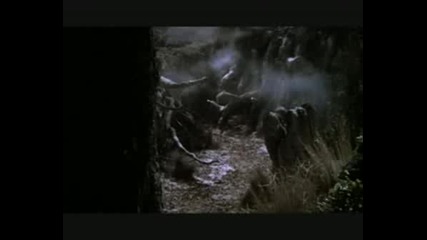 Meridiam - Luna Llena