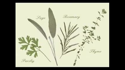 Sarah Brightman - Scarborough Fair
