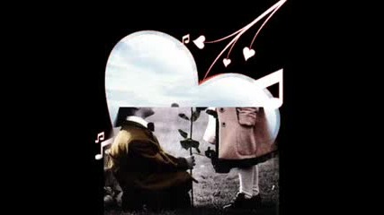 Zara - Tukenecegiz