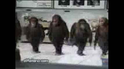 Маймун Dance