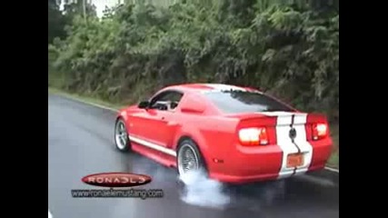 Ronaele Mustang Better Than Shelby Gt 500 Or Eleanor
