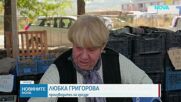 Ново поскъпване на борсите: Зеленчуците с най-сериозен ръст