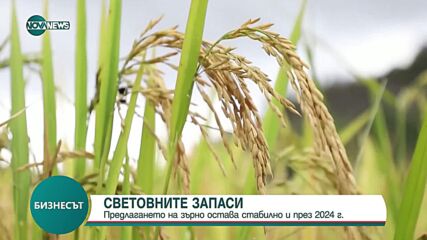 Световните запаси: Предлагането на зърно остава стабилно и през 2024 г.