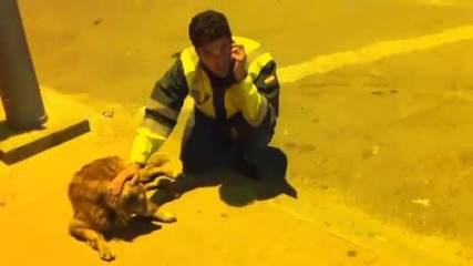 Едно добро дело ! Човек спасява бездомно куче, нуждаещо се от помощ !