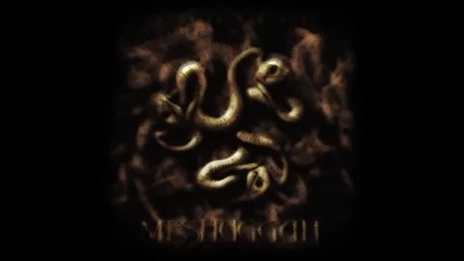 Meshuggah - Personae Non Gratae/sum 