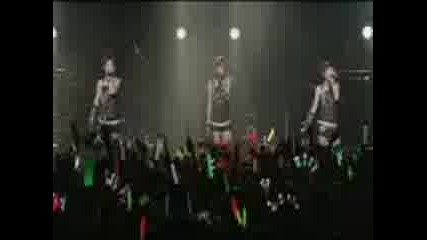 buono ob6t koncert 