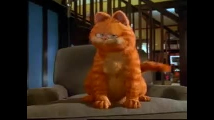 Baz gaza garfield
