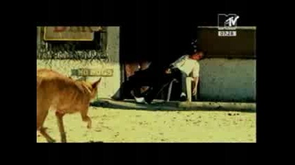 Korn - Word Up