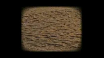 Vanko1_irina Flofin - Zapazi Ve4erta