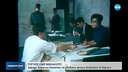 ПОГЛЕД КЪМ МИНАЛОТО: Много животни в Европа са убивани заради болести