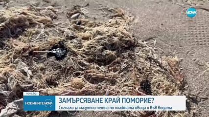 Мазутни петна изплуваха по плажове в Поморие
