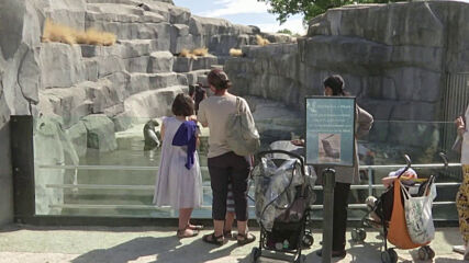Бейби бум в парижкия зоопарк