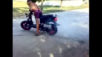 Gumata Zagina.mp4