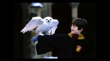 Harry Potter Theme (dubstep Remix)