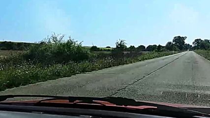 Клони край главен път