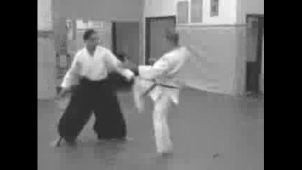 Aikido vs Kickboxing