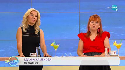 Здрава Каменова с нова рубрика в „На кафе” - „На кафе” (09.09.2022)