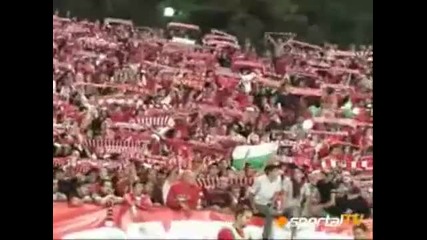 Cska Sofia Fanatics