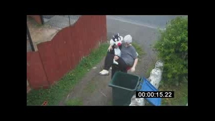 Revenge of the Cat 