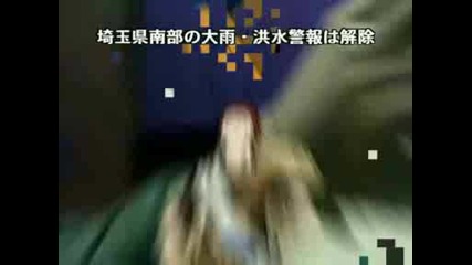 Rock Lee Fight