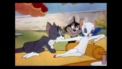 Tom & Jerry - Springtime & Thomas