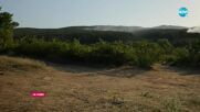 Пожарът между пазарджишките села Лесичово и Калугерово отново се разпали