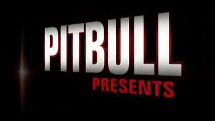 Pitbull Feat. Lil Jon - The Anthem