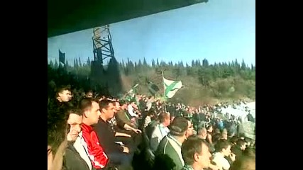 beroe fans 1