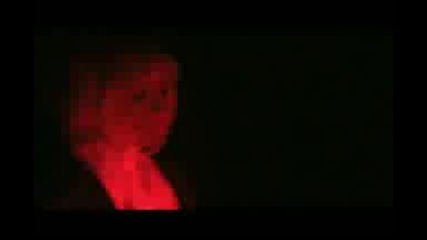 Screen Vinyl Image - Fever 