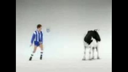 krava - futbolist