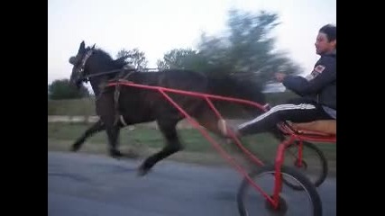 спортни коне казанлък 2