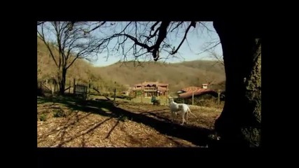 Край или начало - Епизод 13