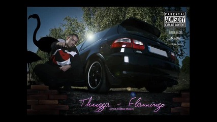 Thugga - Flamingo 2011 