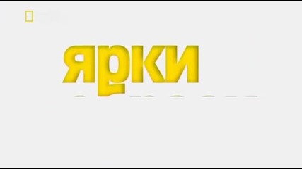 Разследване на самолетни катастрофи: Хаос в кабината