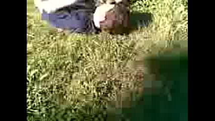 A Prebivane