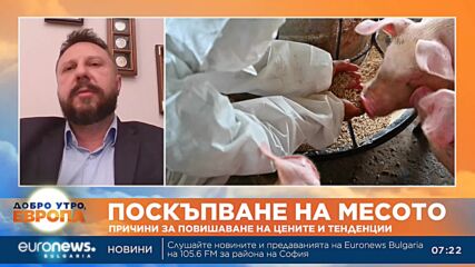 Свиневъди алармират: На първо място сме в ЕС по спад на производството на свинско месо