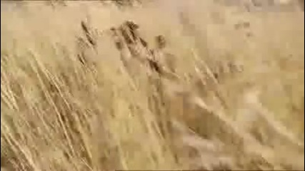 *new* Pepsi Ad | World Cup 2010 | Oh Africa - Akon | Messi Henry Kaka Lampard Arshavin Drogba ||hd|| 
