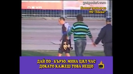 Вили Вуцовизми