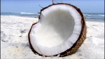 Weepee - Coconut (original Mix)