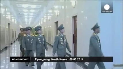 Избори в Северна Корея - 100% избирателна активност