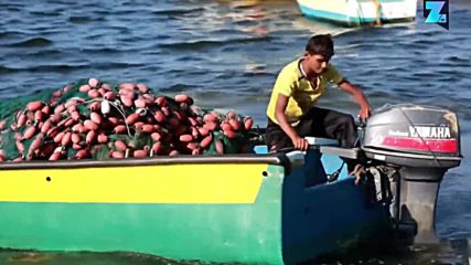 Най-младият рибар в Газа храни девет човека всеки ден