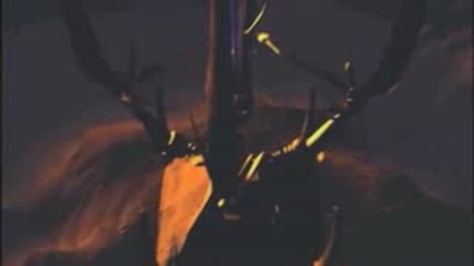 Starcraft in the end 
