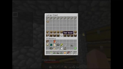 Minecraft Villiger Survival #5