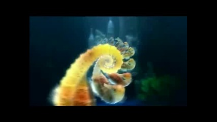The Chemical Brothers - The Salmon Dance