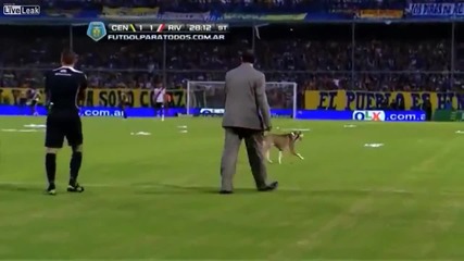 Смях ... Куче атакува футболно игрище !!! феновете оооле